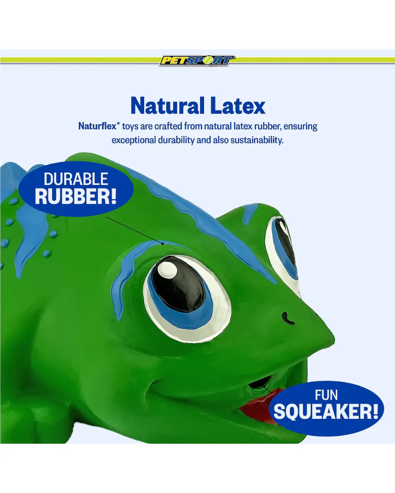 Naturflex Latex Chameleon Squeaky Dog Toy - Image 4
