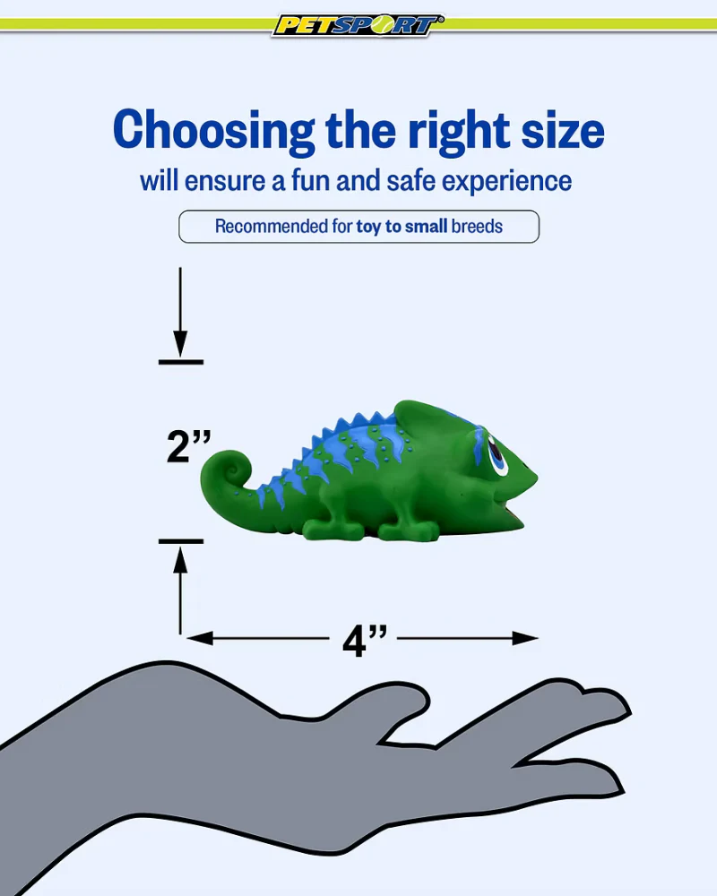 Naturflex Latex Chameleon Squeaky Dog Toy - Image 5