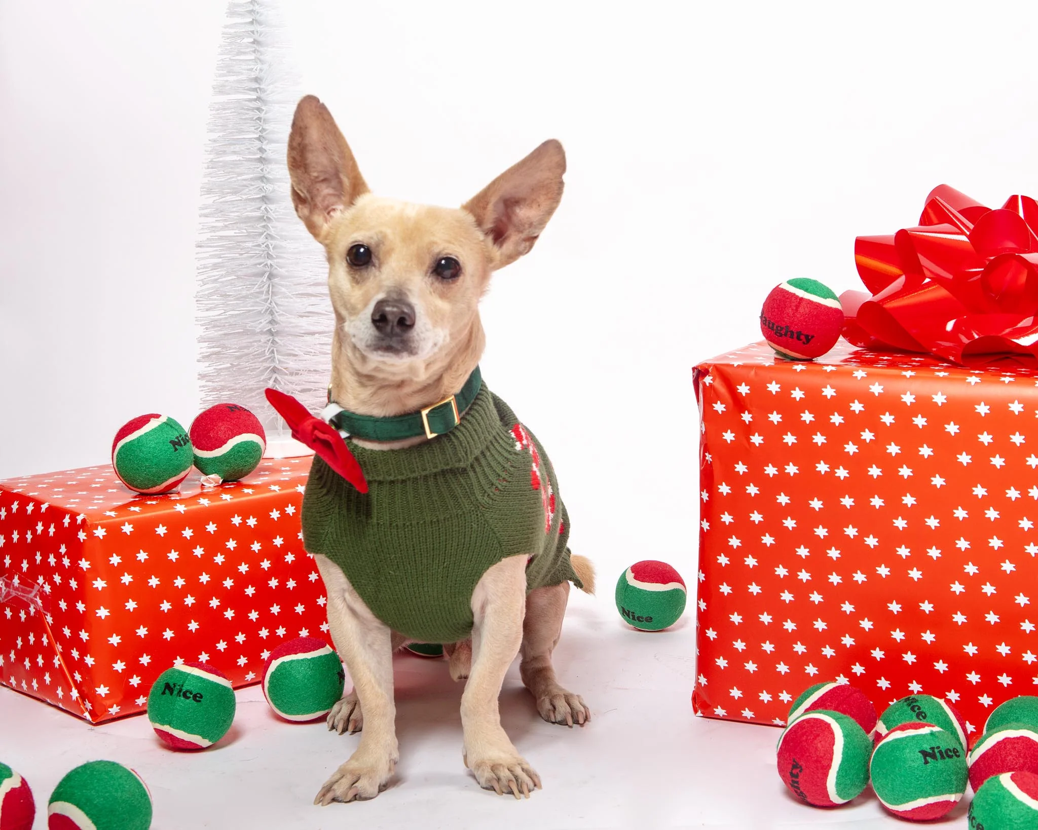 Naughty Or Nice Dog Tennis Balls (2-Pack) (FINAL SALE) - Image 2