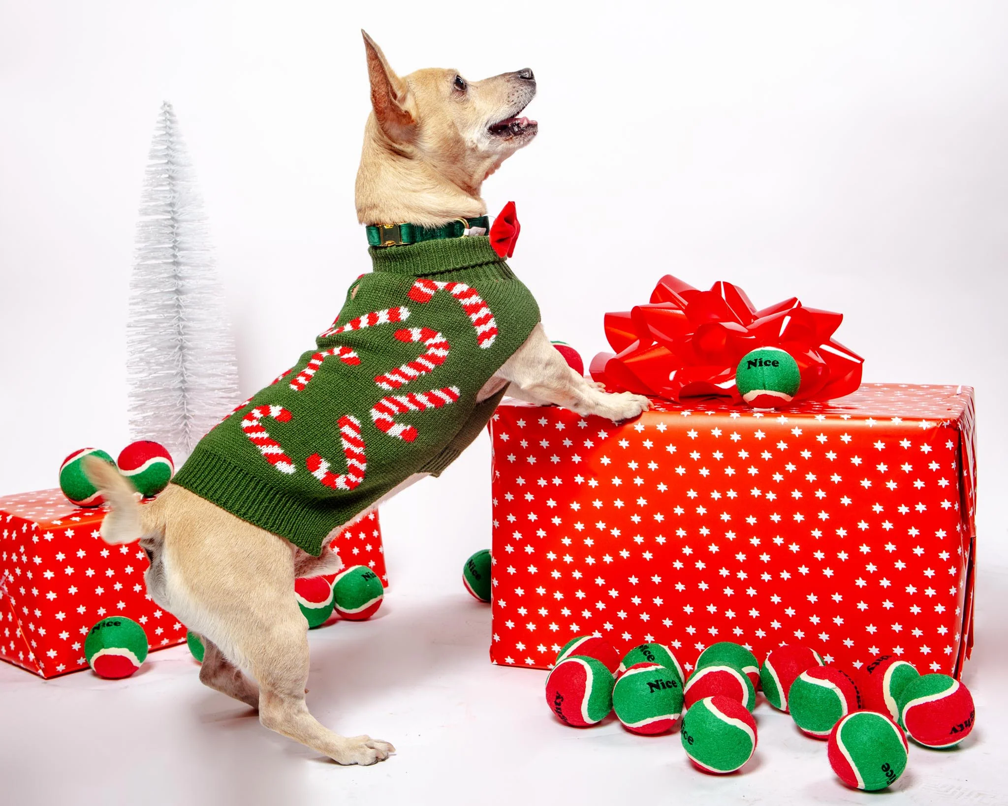 Naughty Or Nice Dog Tennis Balls (2-Pack) (FINAL SALE) - Image 7