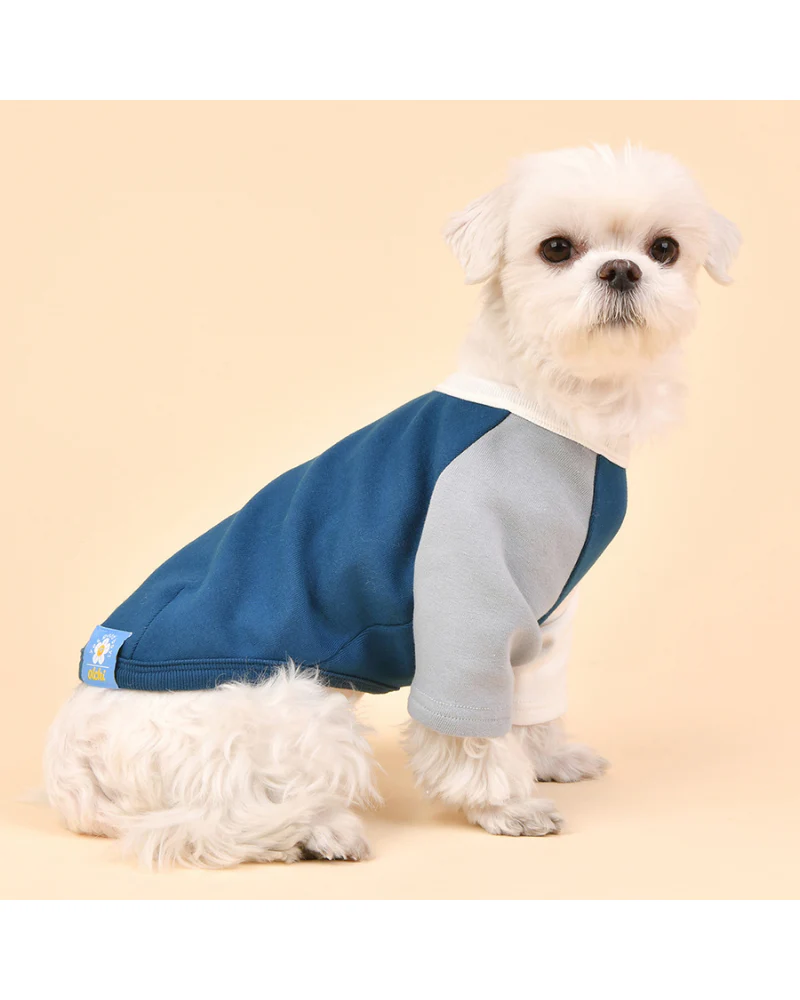 Color Block Dog T-Shirt in Navy (FINAL SALE) - Image 2