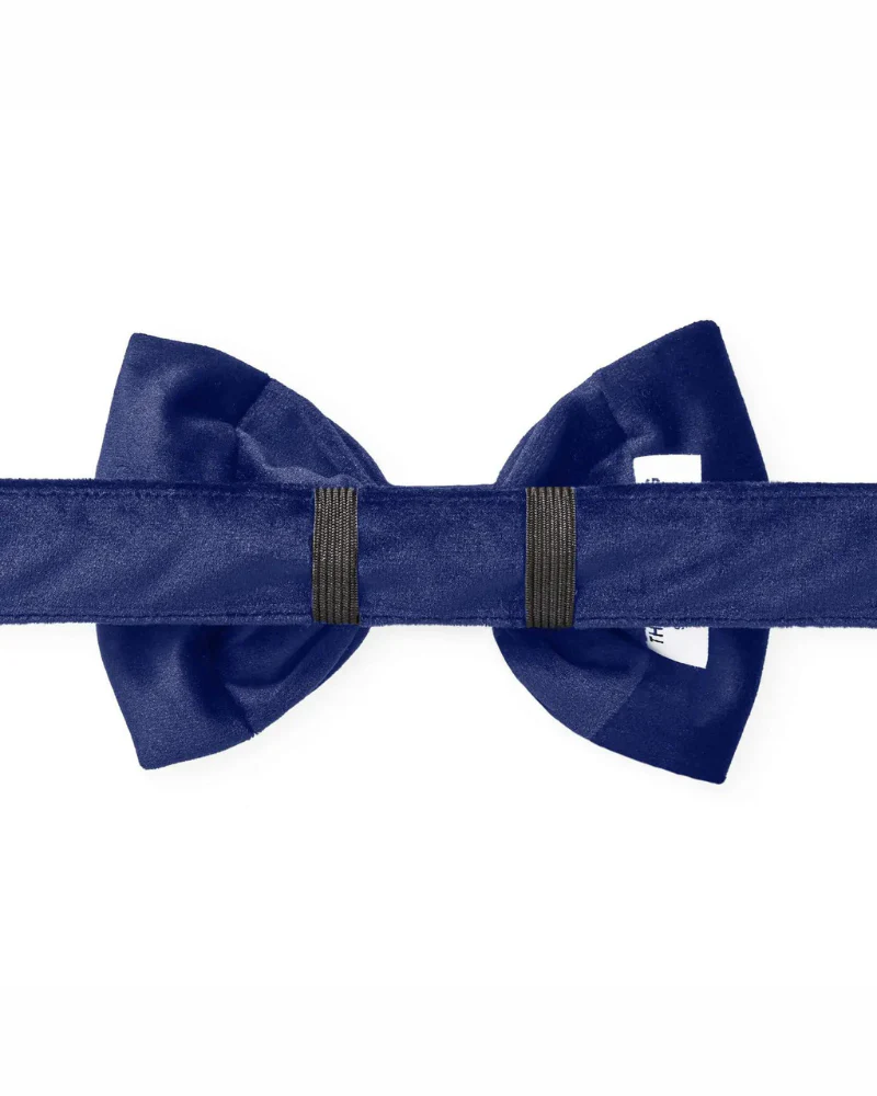 Navy Velvet Dog Bow-Tie (Made in the USA) (FINAL SALE) - Image 5