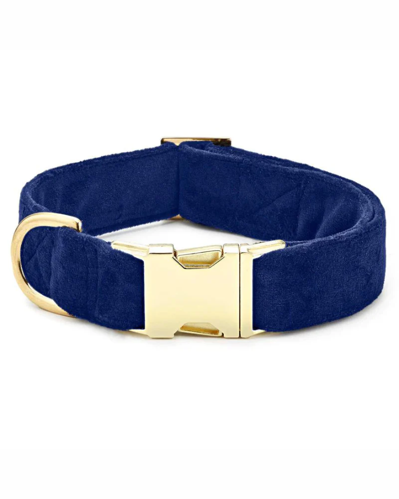 Navy Velvet Dog Collar (Made in the USA) (FINAL SALE)