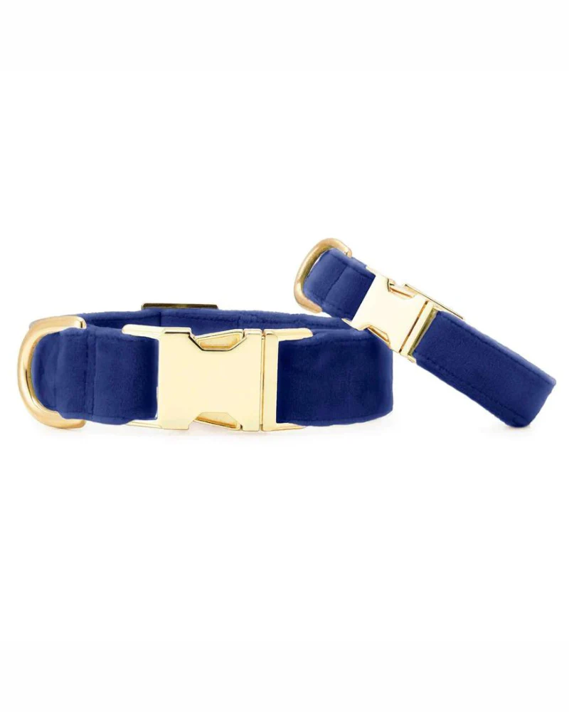 Navy Velvet Dog Collar (Made in the USA) (FINAL SALE) - Image 3