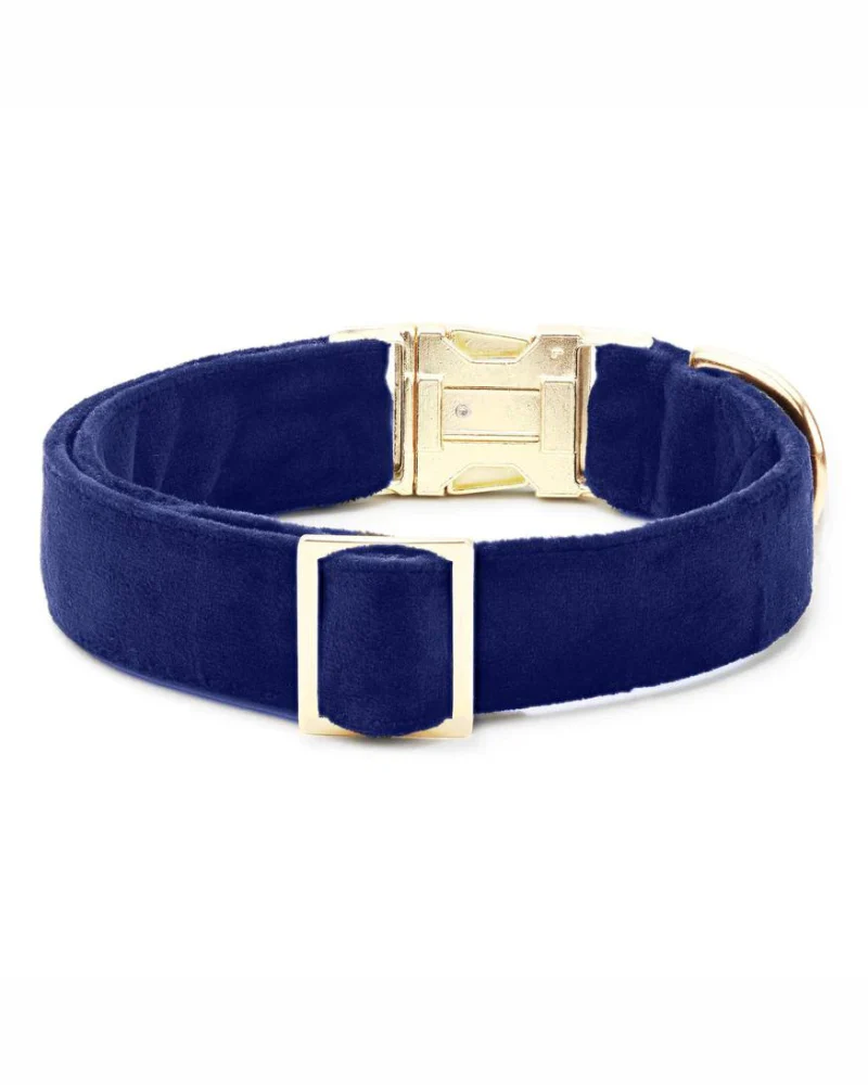 Navy Velvet Dog Collar (Made in the USA) (FINAL SALE) - Image 4