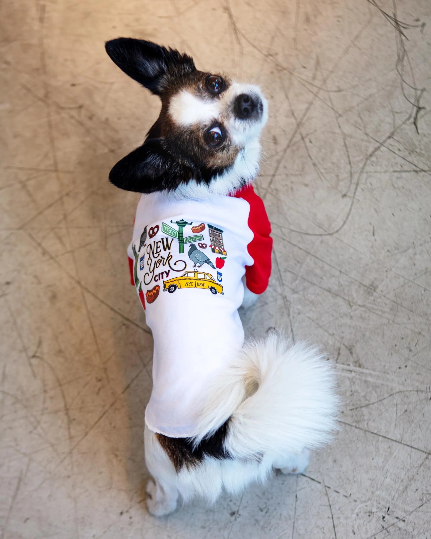 *New York City* Graphic Dog T-Shirt