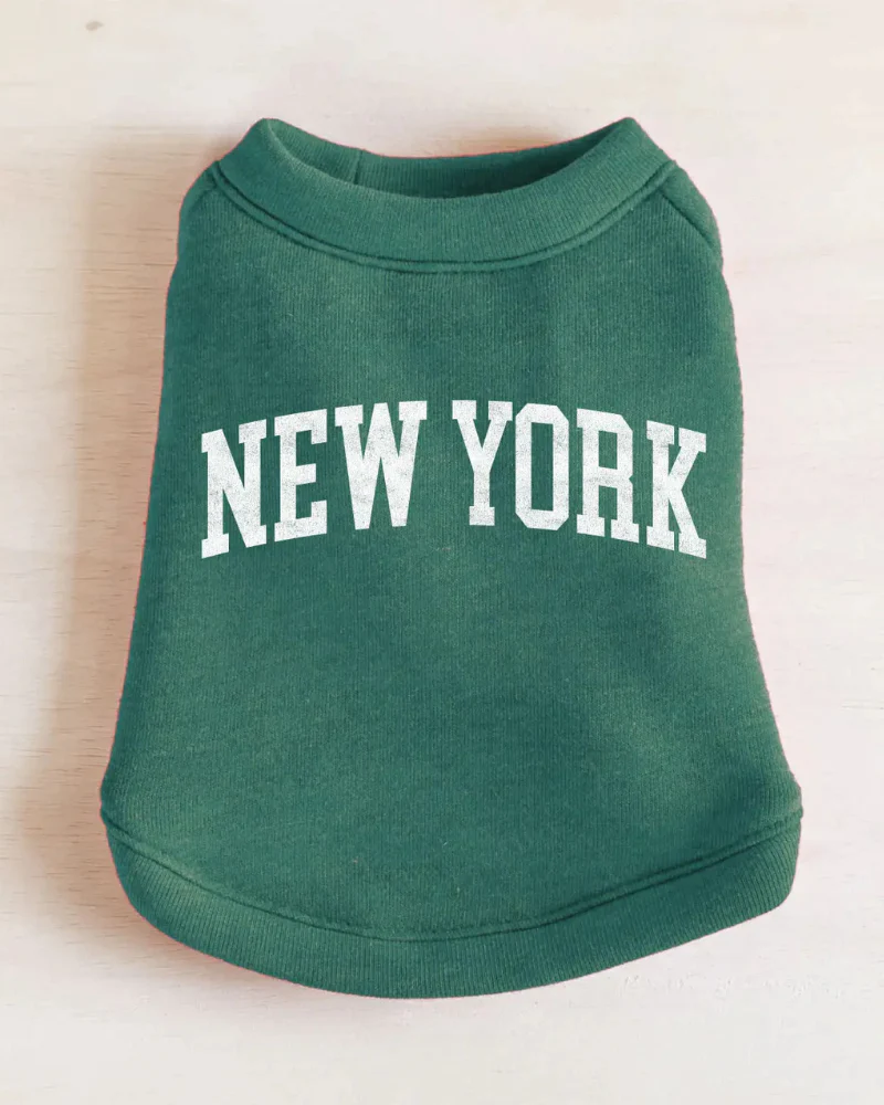 New York Dog Sweatshirt in Forest Heather - Image 4