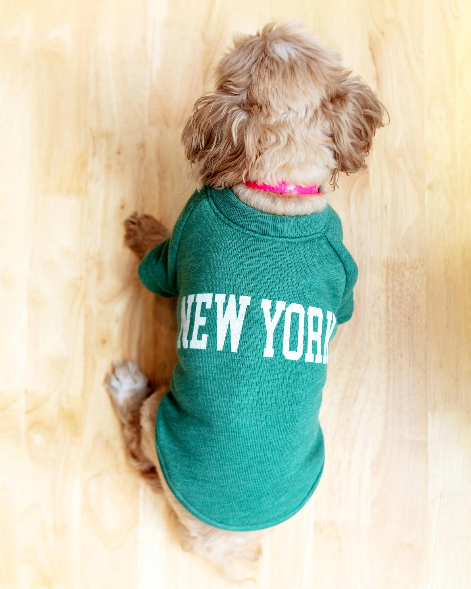 New York Dog Sweatshirt in Forest Heather - Image 5