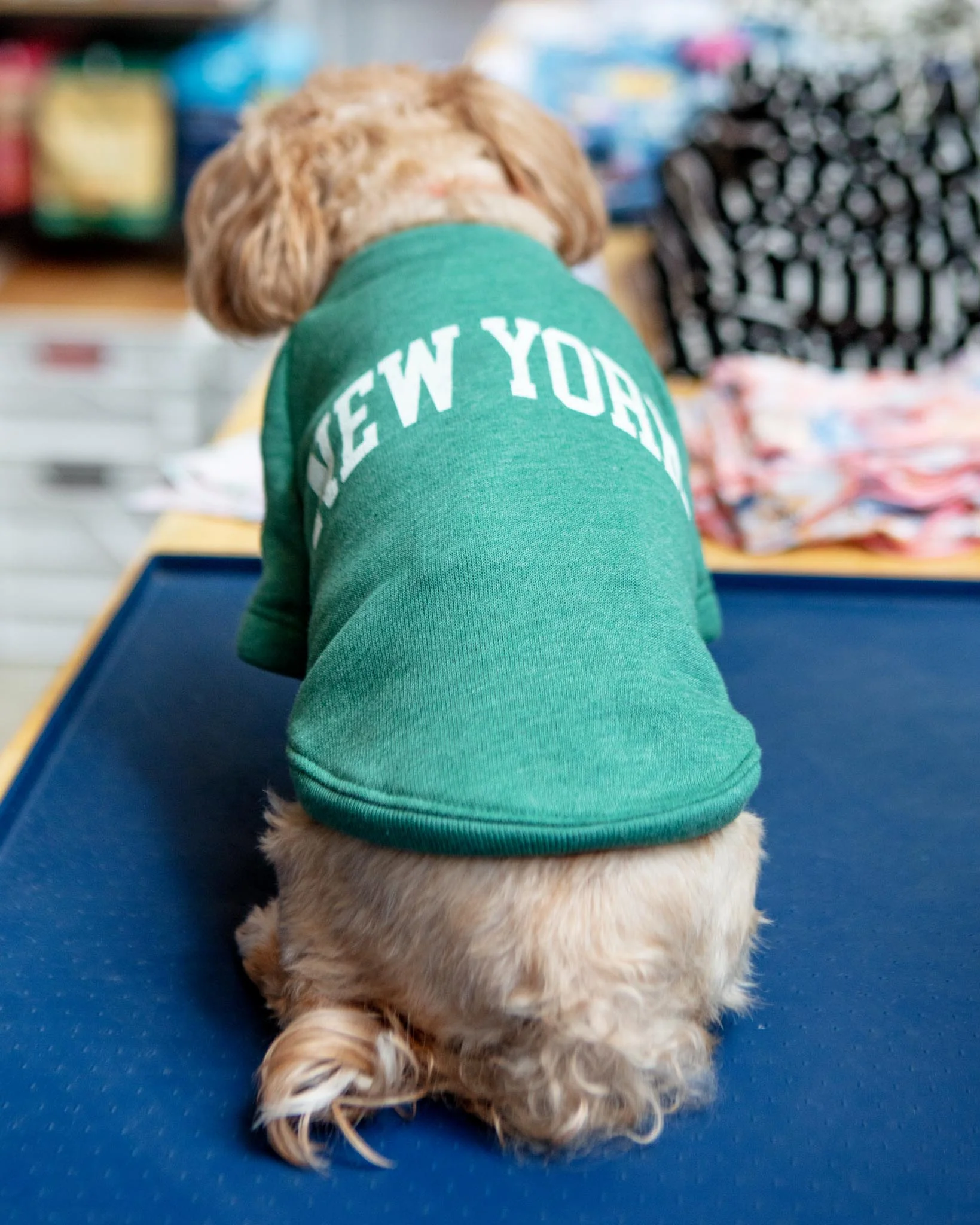 New York Dog Sweatshirt in Forest Heather - Image 7