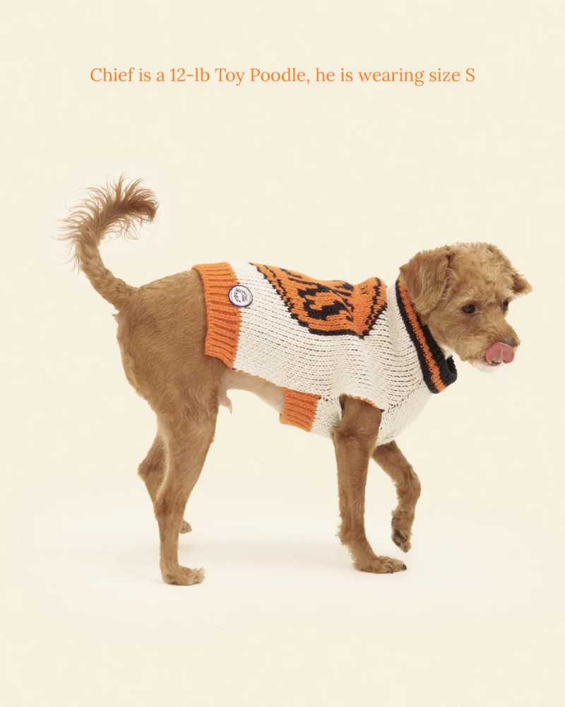 New York Knicks NBA Dog Sweater - Image 3