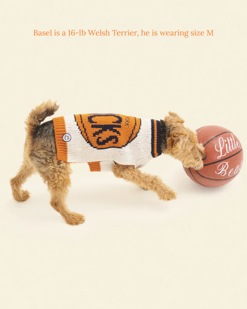 New York Knicks NBA Dog Sweater - Image 4