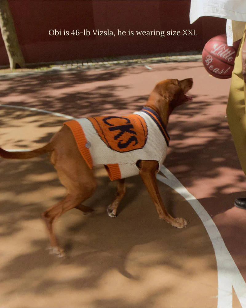 New York Knicks NBA Dog Sweater - Image 7