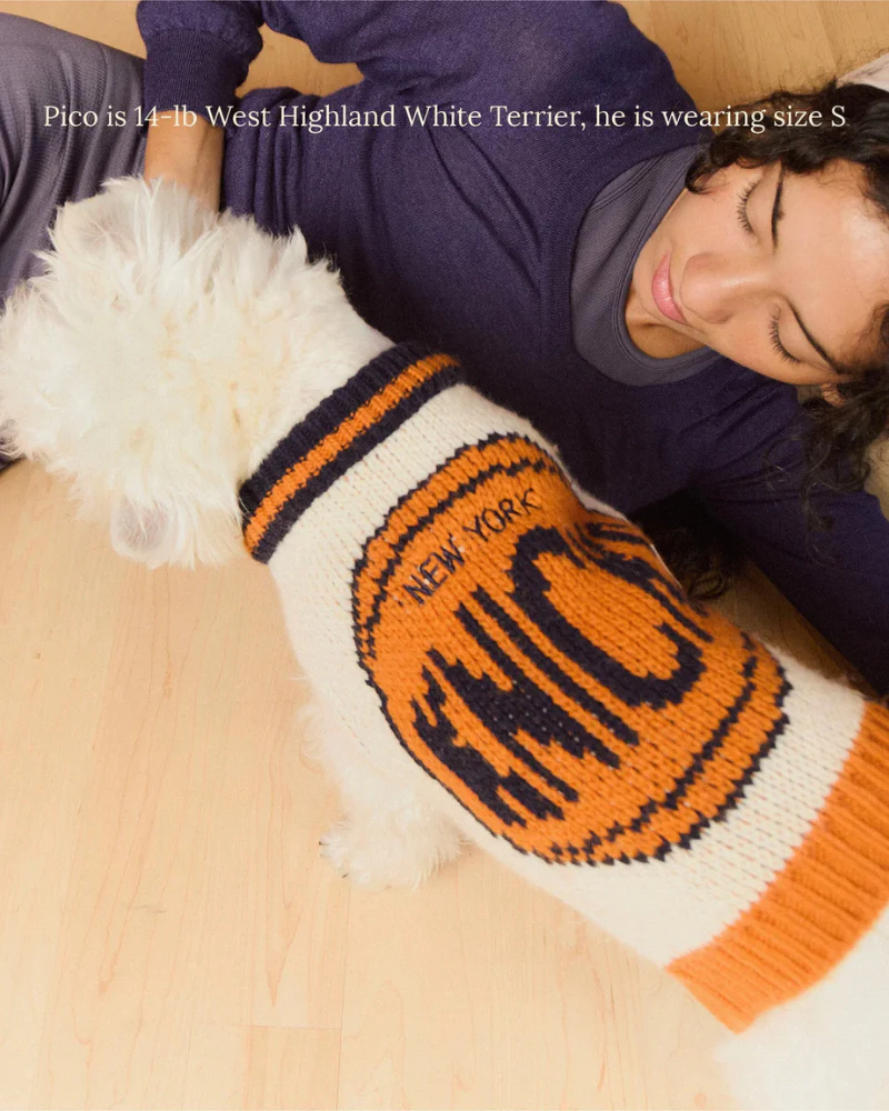 New York Knicks NBA Dog Sweater - Image 8