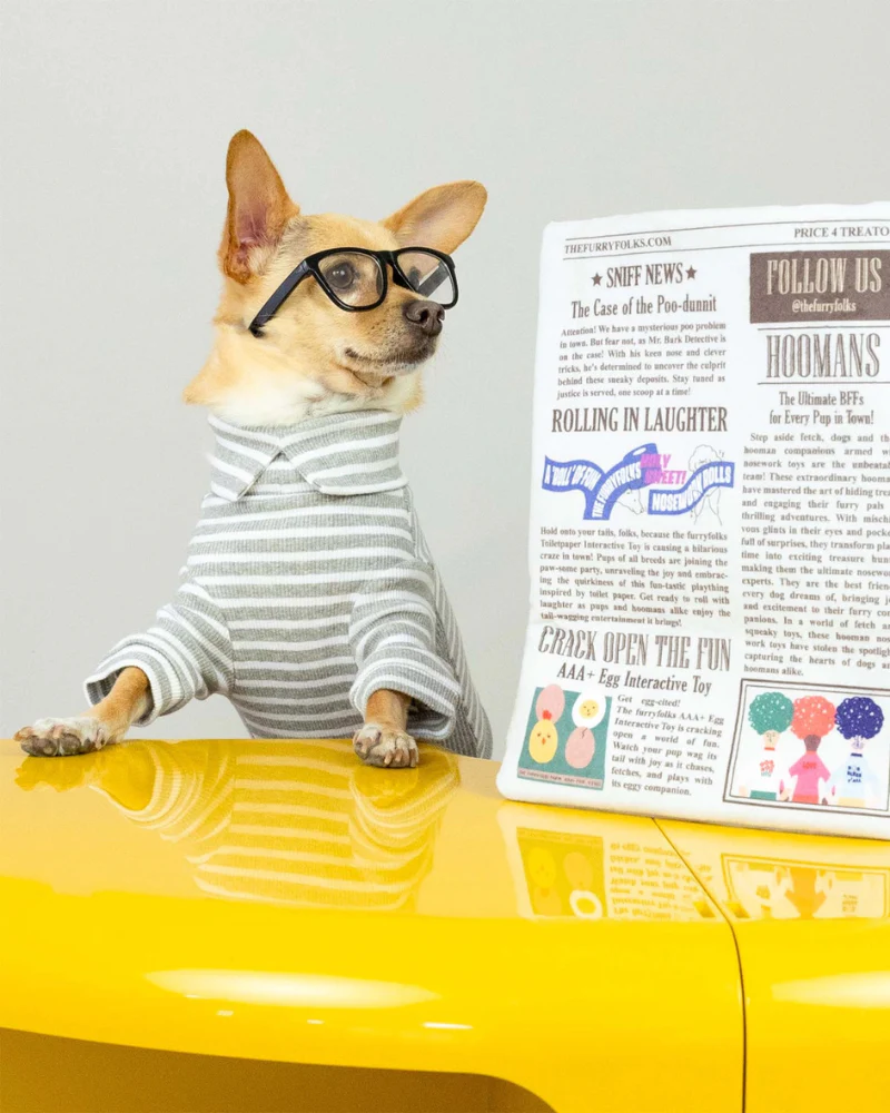 Newspaper Nosework Dog Toy - Image 3