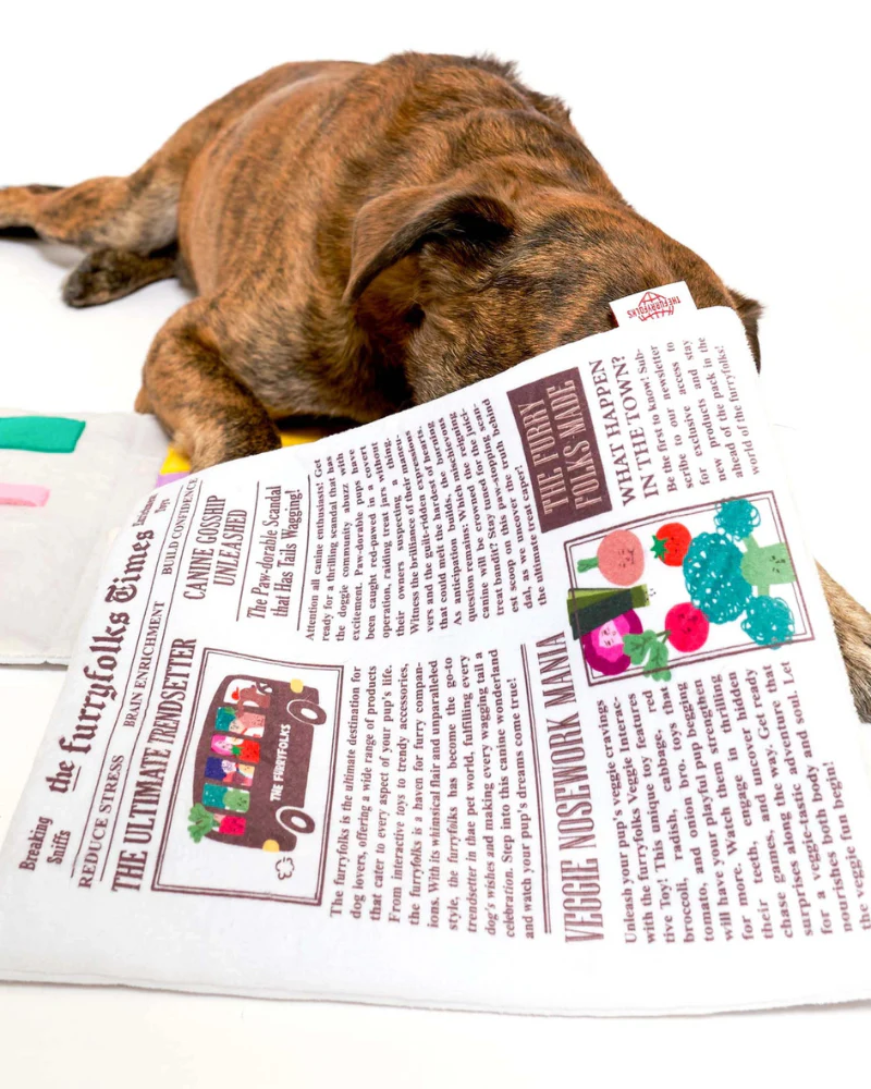 Newspaper Nosework Dog Toy - Image 5
