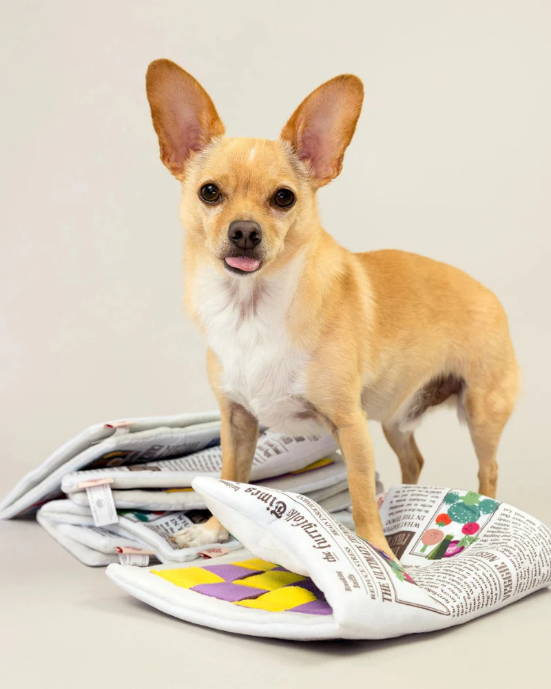 Newspaper Nosework Dog Toy - Image 8
