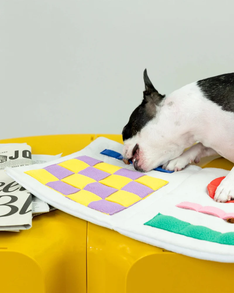 Newspaper Nosework Dog Toy - Image 9