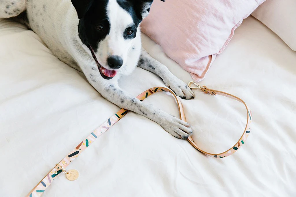 NICE DIGS | Master Confetti Leather Dog Leash - Image 2