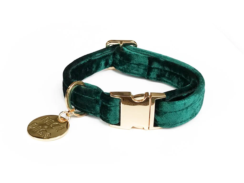 NICE DIGS | Velvet Dog Collar in Jade