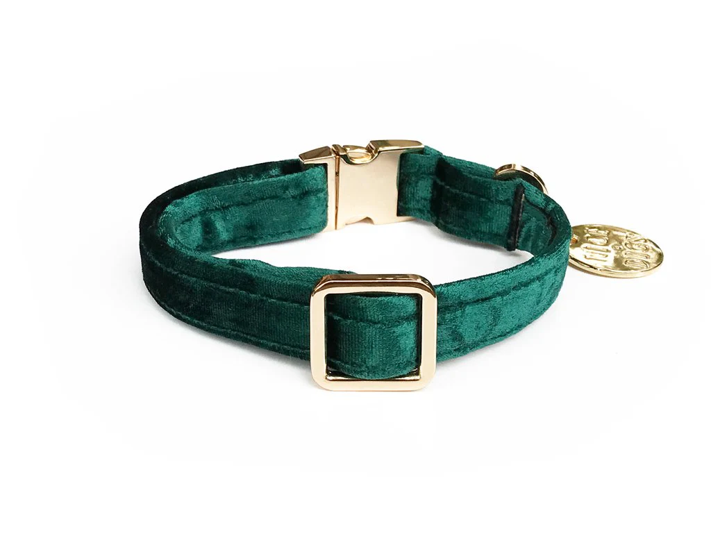 NICE DIGS | Velvet Dog Collar in Jade - Image 2