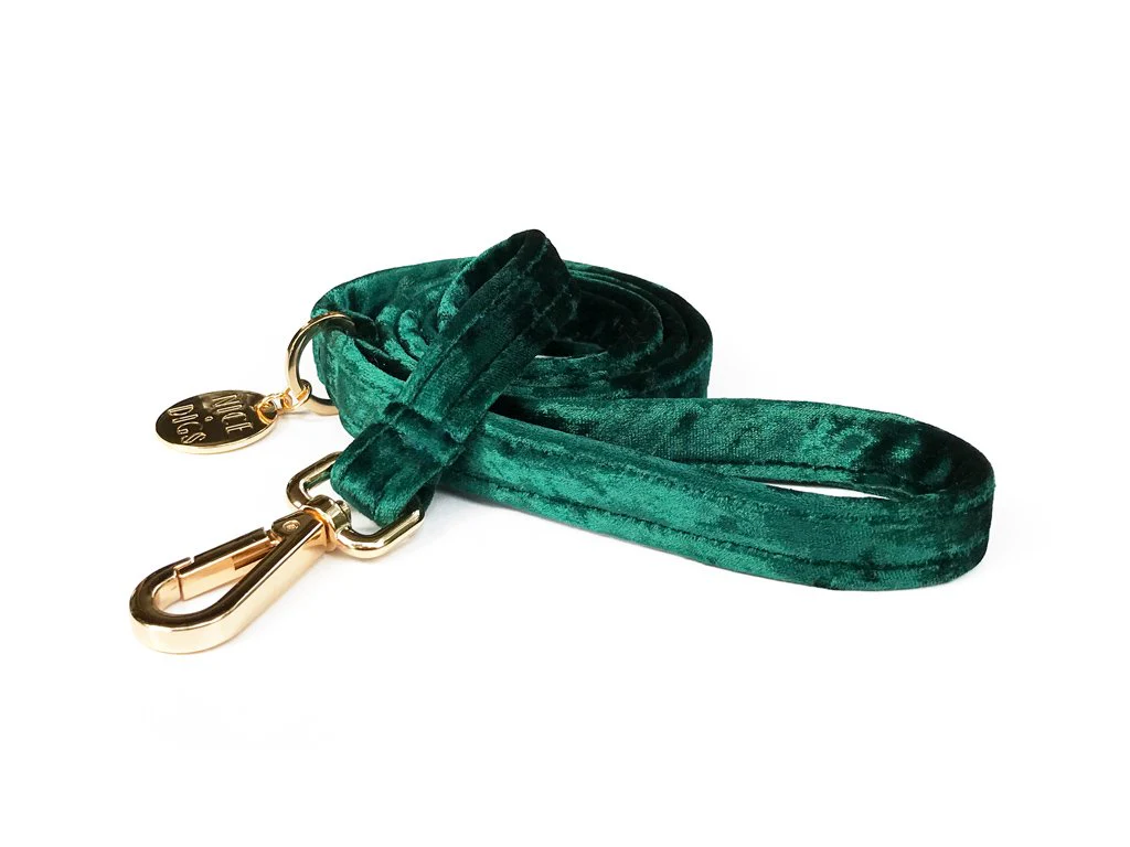 NICE DIGS | Velvet Dog Leash in Jade