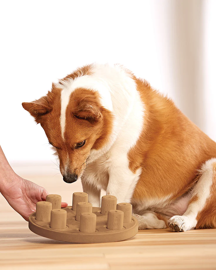 Dog Smart Treat Puzzle Game - Image 4