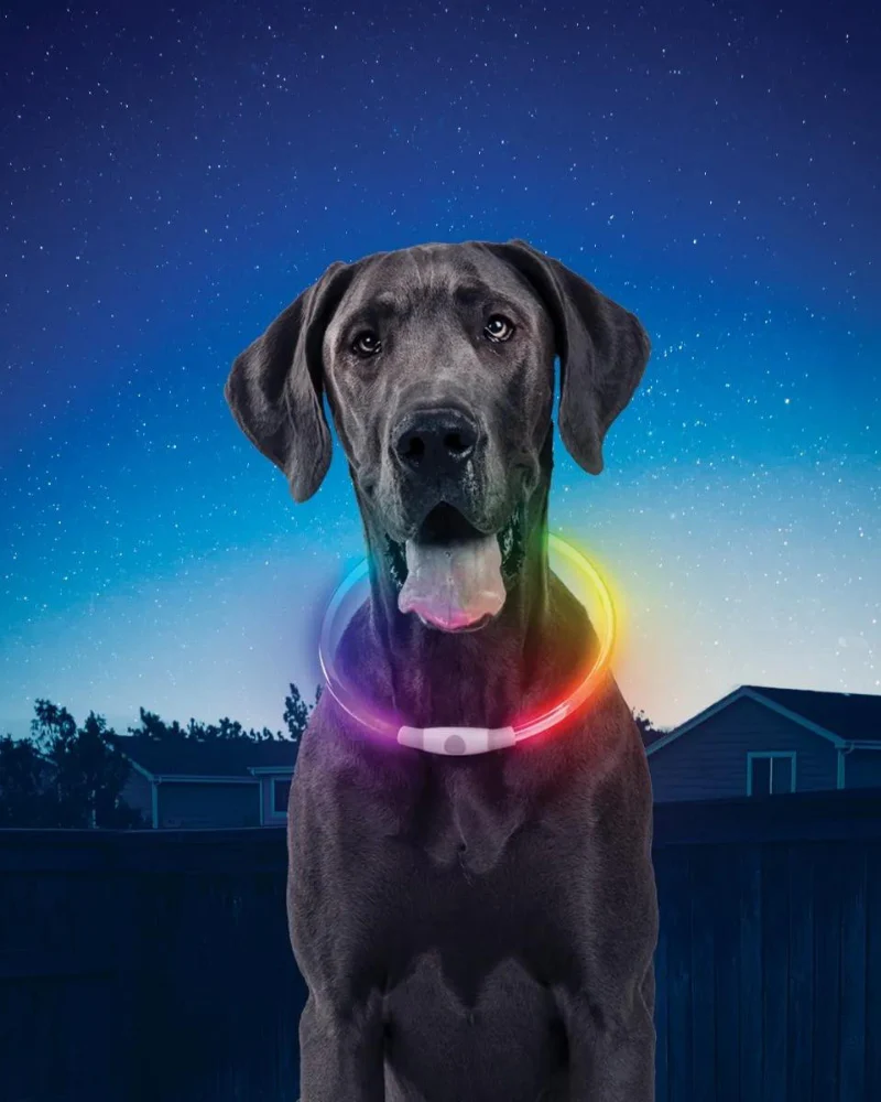NITEHOWL® Rechargeable Led Safety Dog Necklace