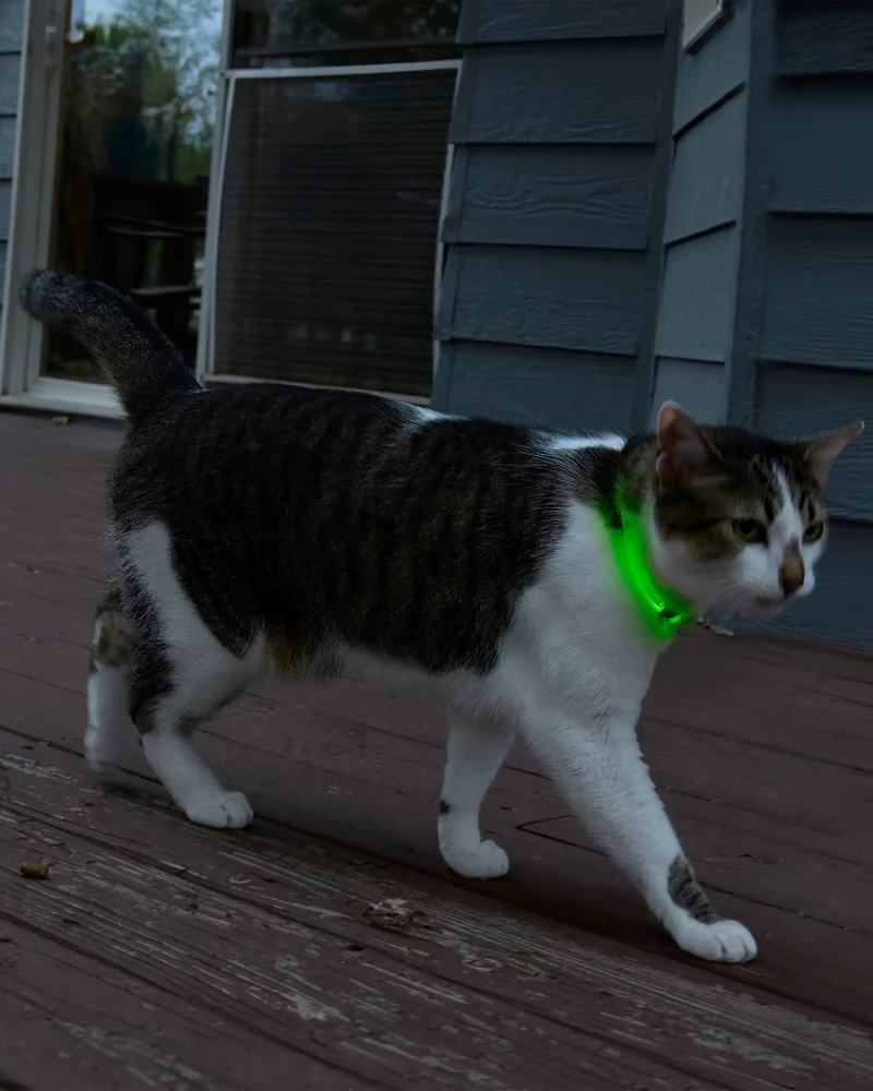 NITEMEOW® Rechargeable Led Safety Cat Necklace - Image 4