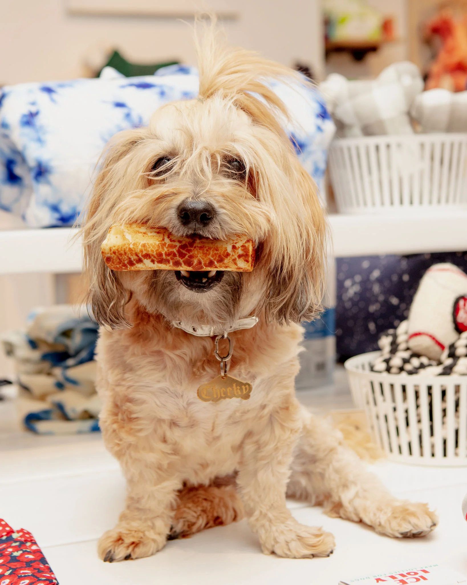 No-Hide Wholesome Dog Chew in Peanut Butter - Image 4