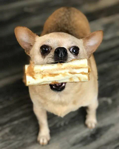 No-Hide Wholesome Dog Chew in Peanut Butter - Image 6