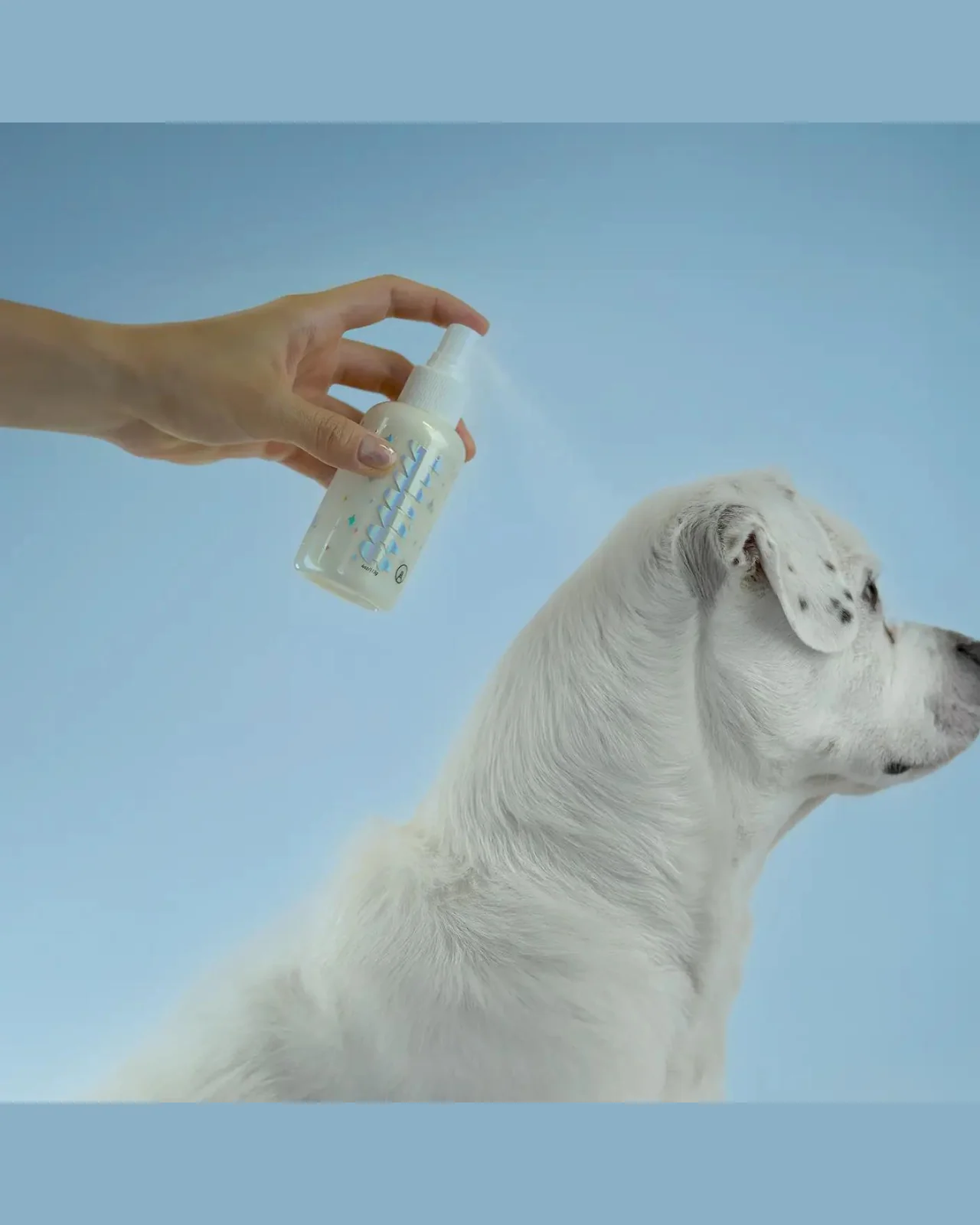 No Rinse Dry Shampoo Mists for Pets in Fresh Lavender (Made in the USA) (FINAL SALE) - Image 3