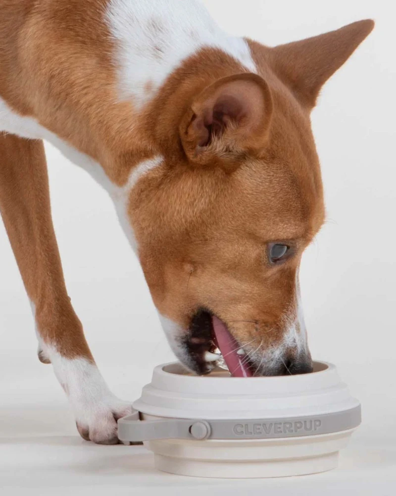 Nomad Collapsible Dog Bowl in Sand - Image 4