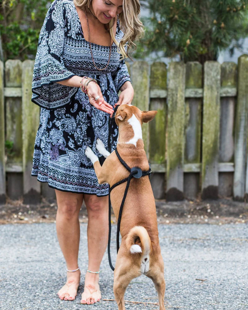 Non-Pull Escape Resistant Harness Lead (Made in the USA) - Image 5
