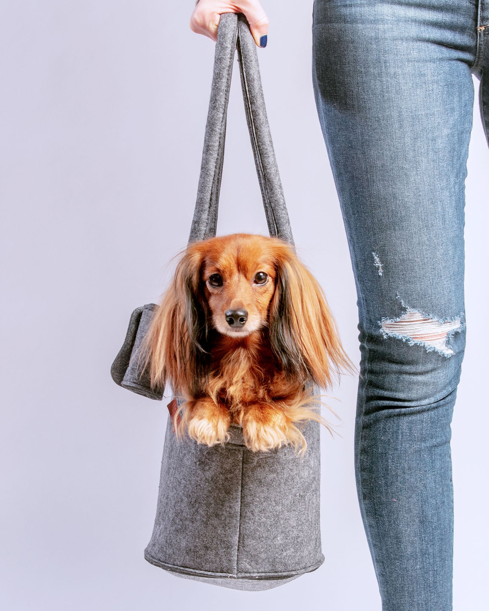 Lightweight Dog Carrier in Soft Ash Grey - Image 3