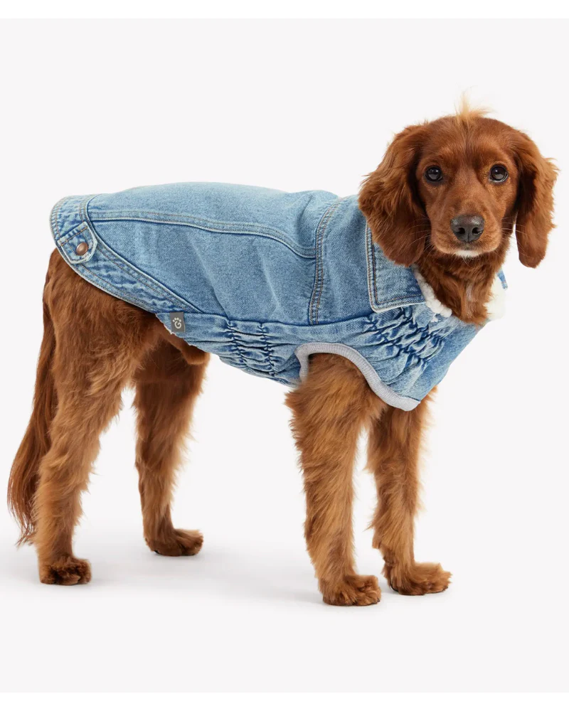 Northside Sherpa-Lined Denim Dog Jacket - Image 4