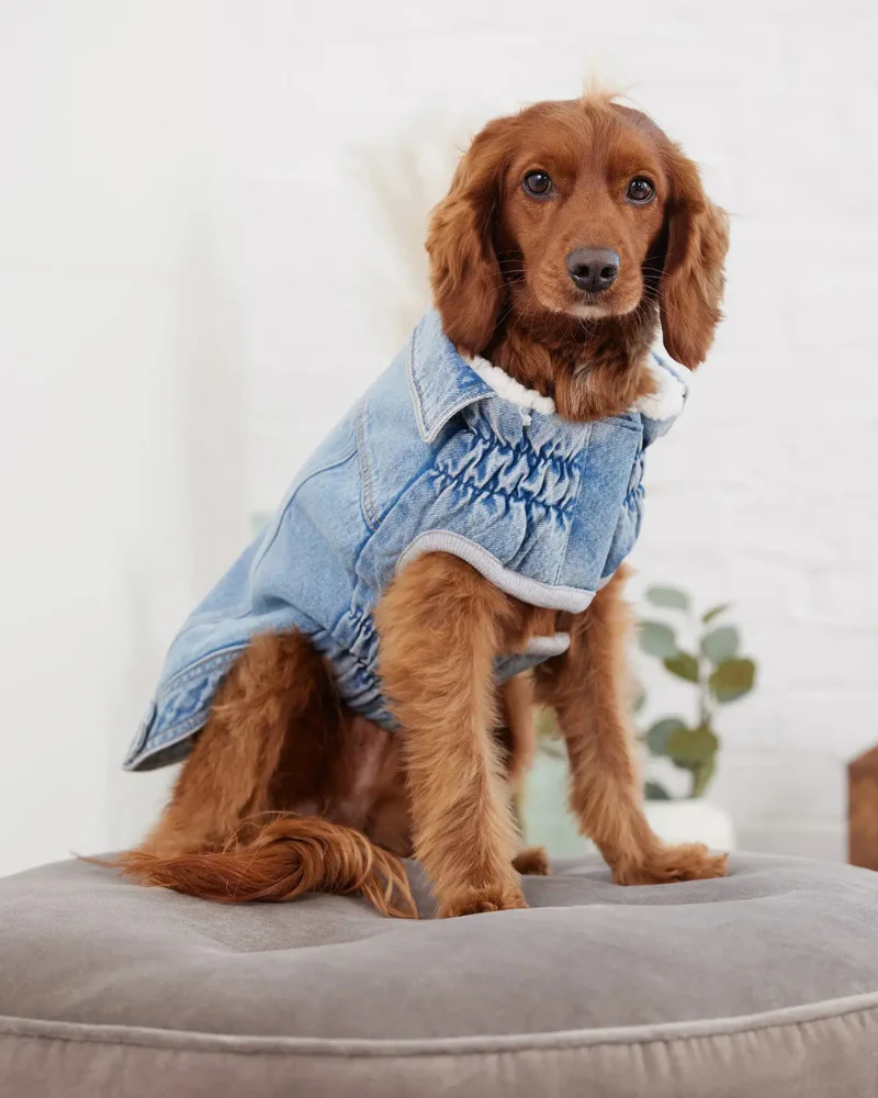 Northside Sherpa-Lined Denim Dog Jacket - Image 8