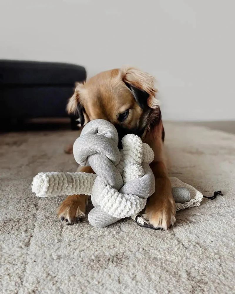 Nou Interactive Crinkle Dog Toy in Cream - Image 4