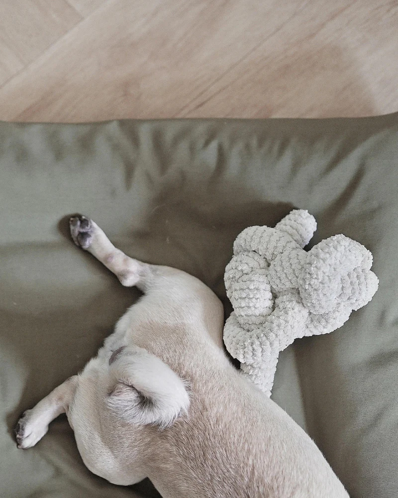 Nou Interactive Crinkle Dog Toy in Cream - Image 5