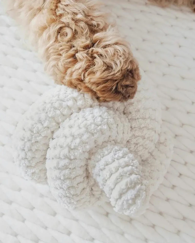 Nou Interactive Crinkle Dog Toy in Cream - Image 6