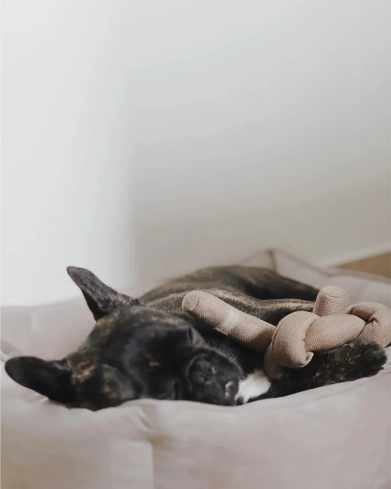 Nou Interactive Silent Dog Toy in Tan - Image 3
