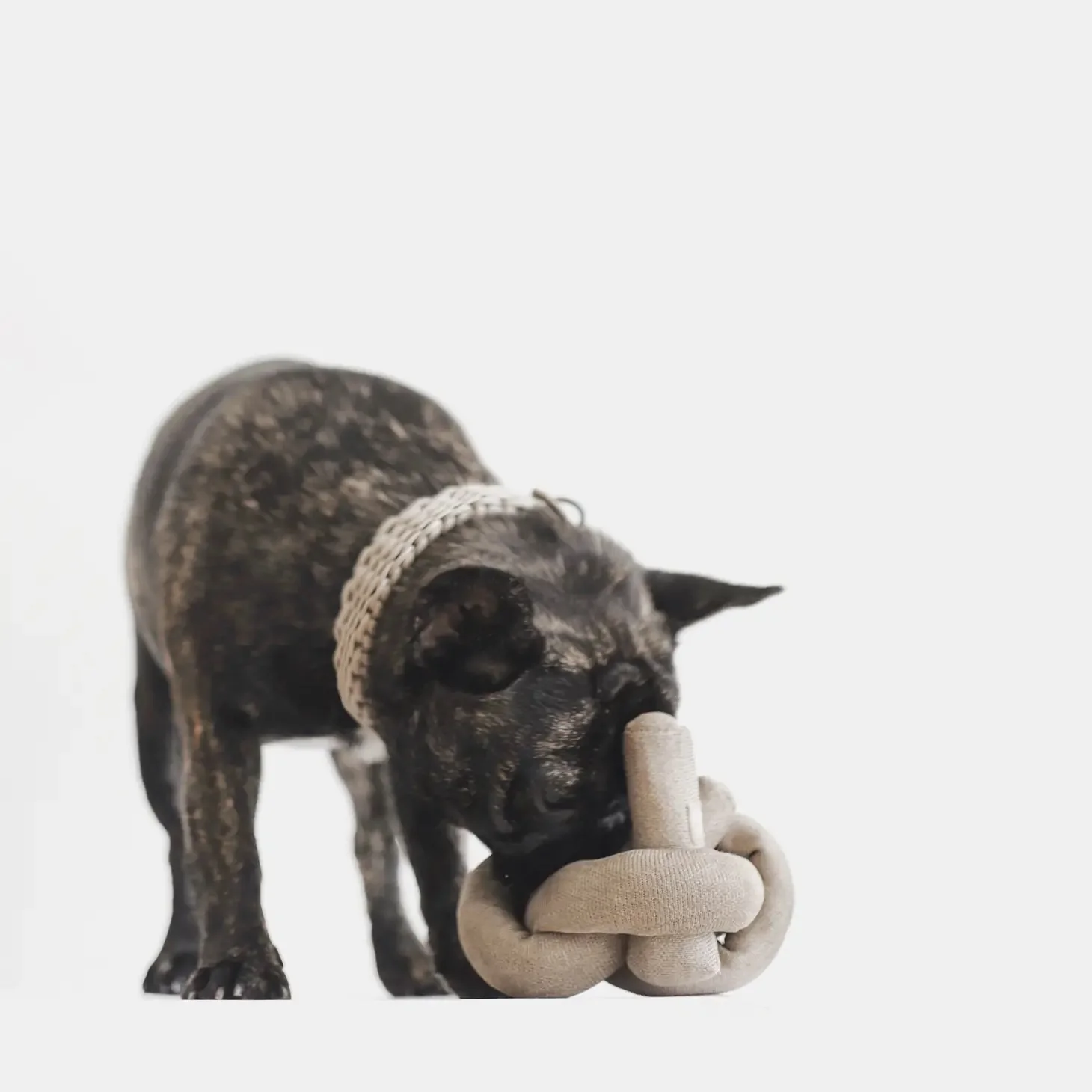 NouNou Interactive Crinkle Dog Toy in Tan - Image 3