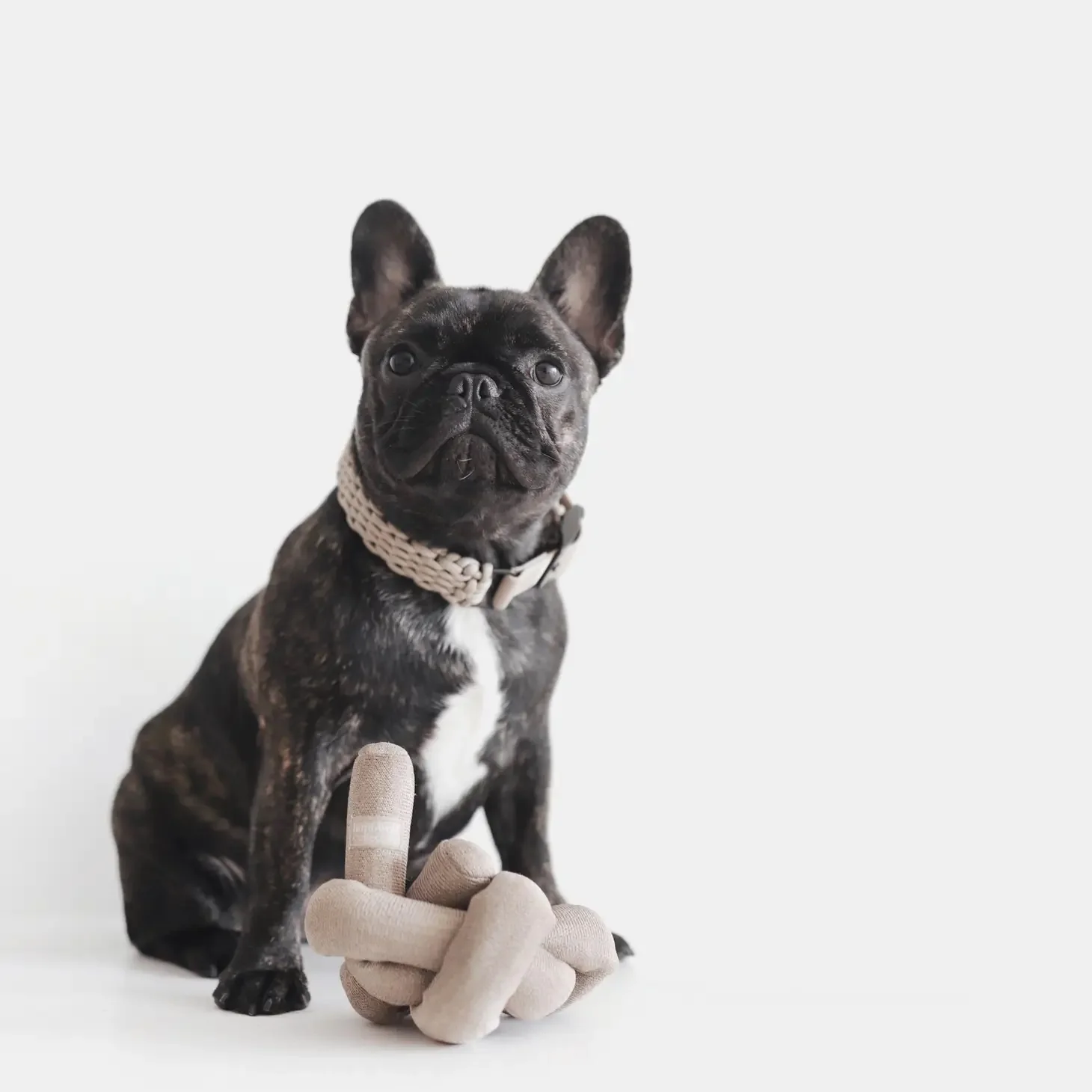 NouNou Interactive Crinkle Dog Toy in Tan - Image 4