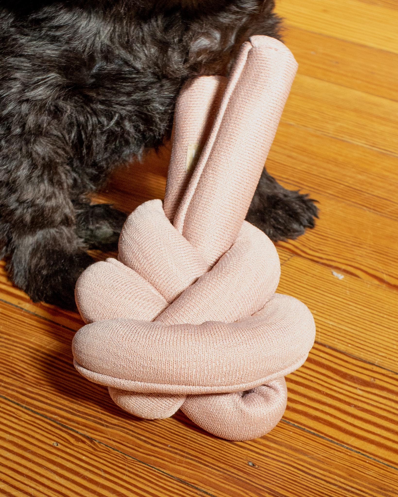 NouNou Interactive Dog Toy in Dogwood - Image 2