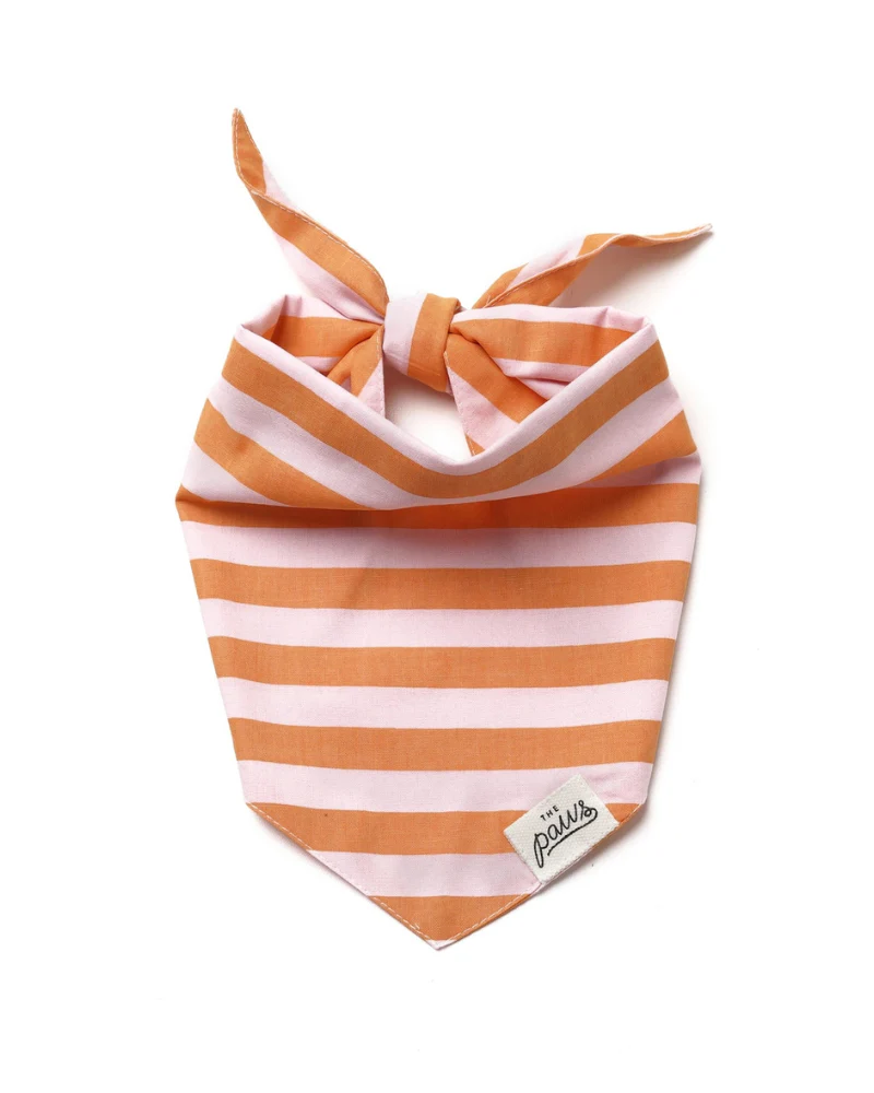 Nusa Striped Dog Bandana - Image 4