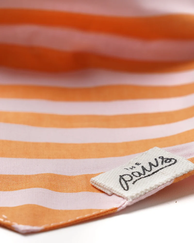 Nusa Striped Dog Bandana - Image 5