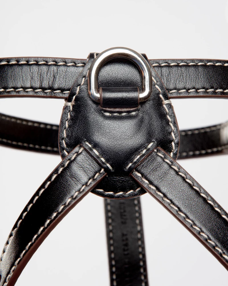 Nuvola Leather Dog Harness in Black (Made in Italy) - Image 2