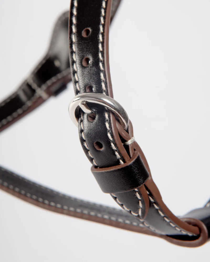 Nuvola Leather Dog Harness in Black (Made in Italy) - Image 4