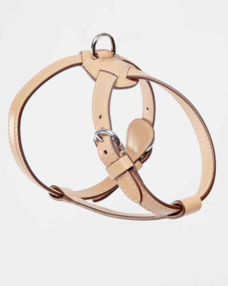 Nuvola Leather Dog Harness in Vanilla (Made in Italy) - Image 6