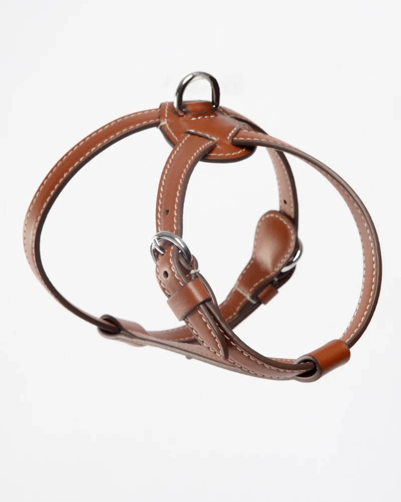 Nuvola Leather Dog Harness in Tobacco Brown (Made in Italy)