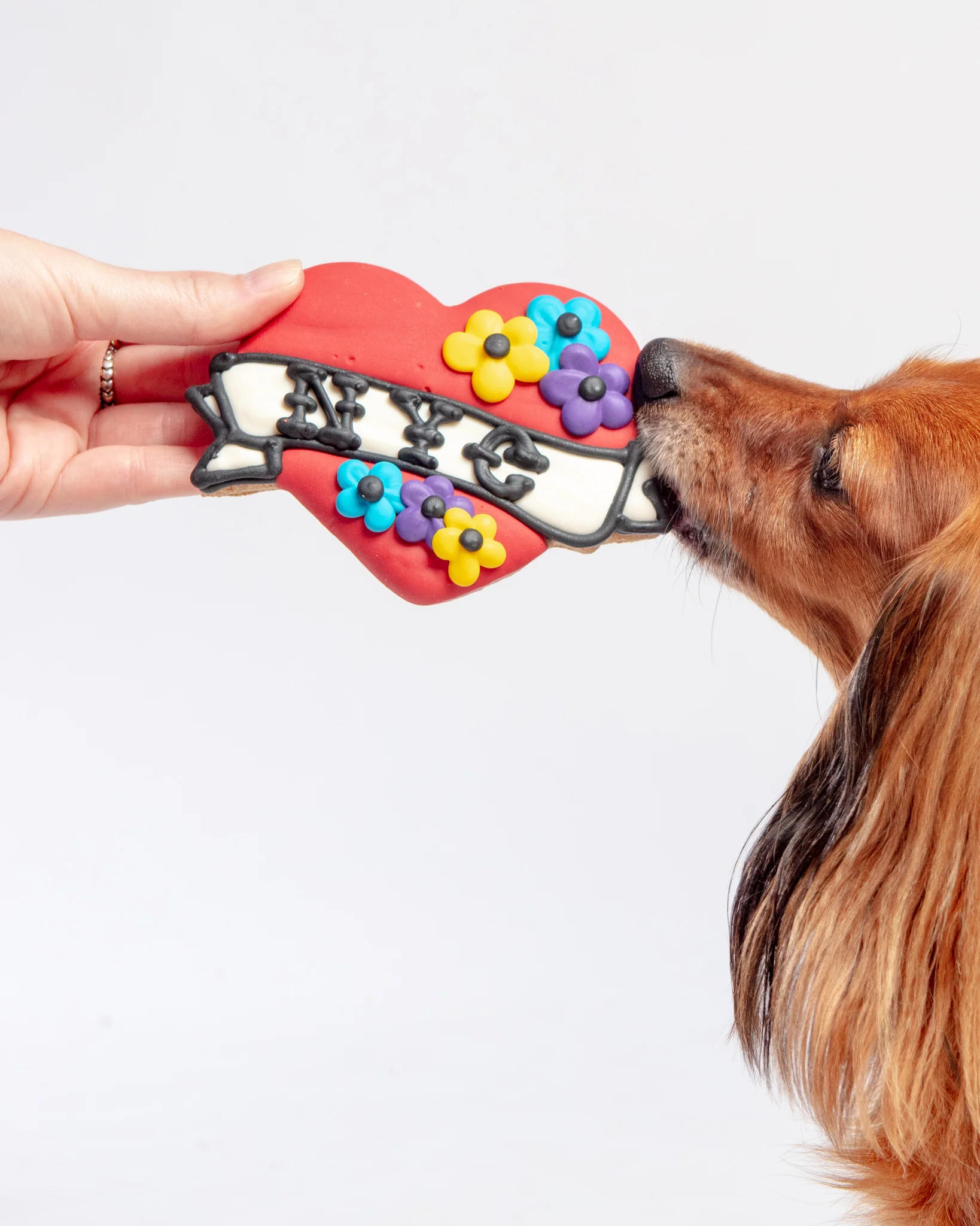 NYC Dog Cookie (Dog & Co. Exlclusive) - Image 2